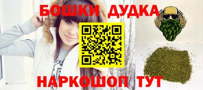 индика Чебаркуль